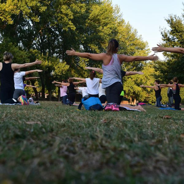 Group of diverse people in a beginner friendly yoga class setting.